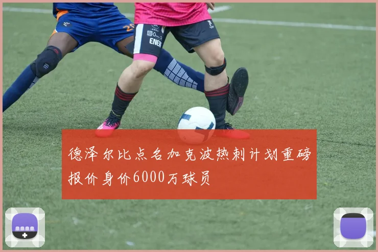 德泽尔比点名加克波热刺计划重磅报价身价6000万球员