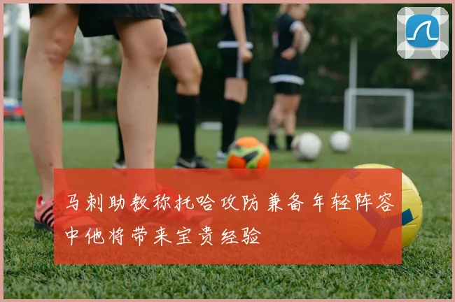 马刺助教称托哈攻防兼备年轻阵容中他将带来宝贵经验
