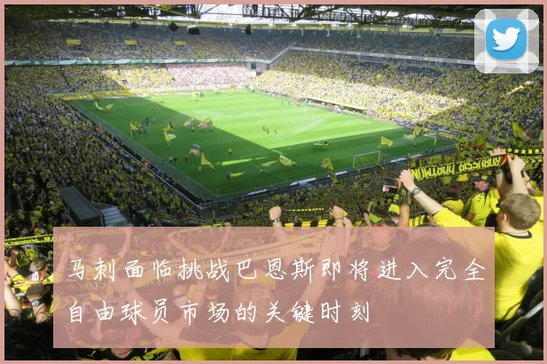 马刺面临挑战巴恩斯即将进入完全自由球员市场的关键时刻